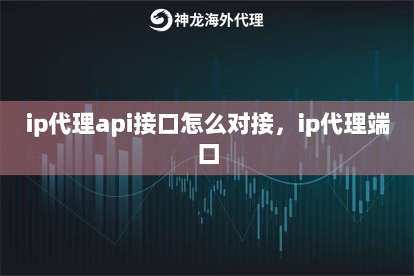 ip代理api接口怎么对接，ip代理端口