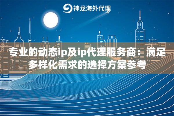 专业的动态ip及ip代理服务商：满足多样化需求的选择方案参考