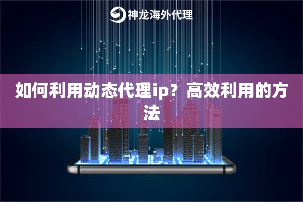 如何利用动态代理ip？高效利用的方法