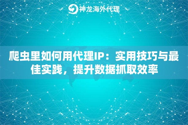 爬虫里如何用代理IP：实用技巧与最佳实践，提升数据抓取效率