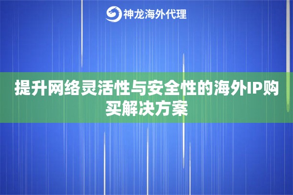 提升网络灵活性与安全性的海外IP购买解决方案