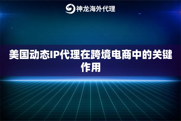 美国动态IP代理在跨境电商中的关键作用