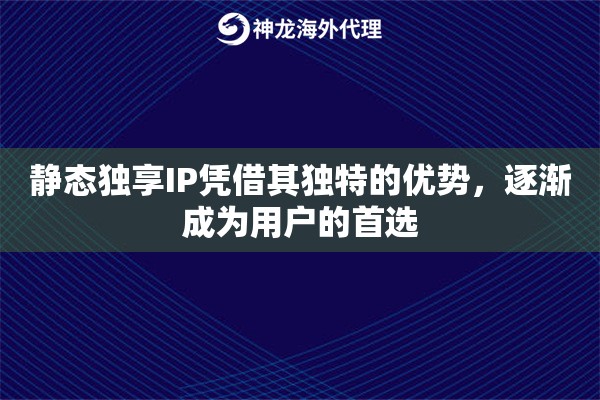 静态独享IP凭借其独特的优势，逐渐成为用户的首选