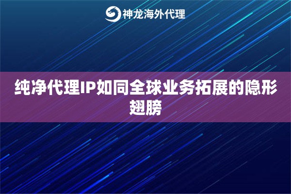 纯净代理IP如同全球业务拓展的隐形翅膀