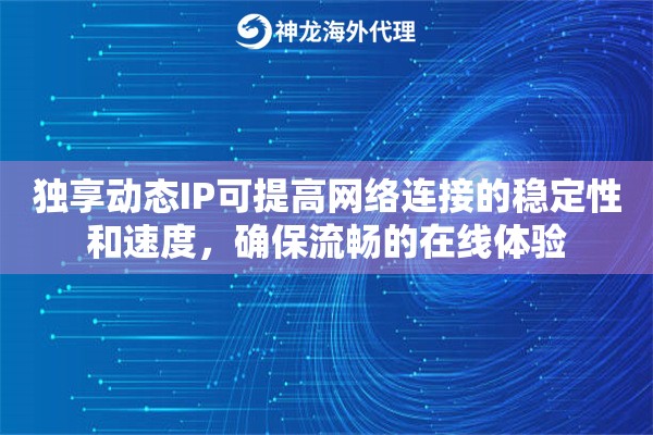 独享动态IP可提高网络连接的稳定性和速度，确保流畅的在线体验