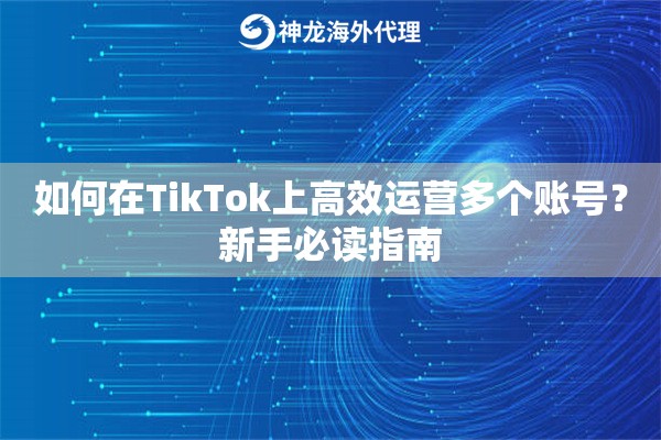 如何在TikTok上高效运营多个账号？新手必读指南