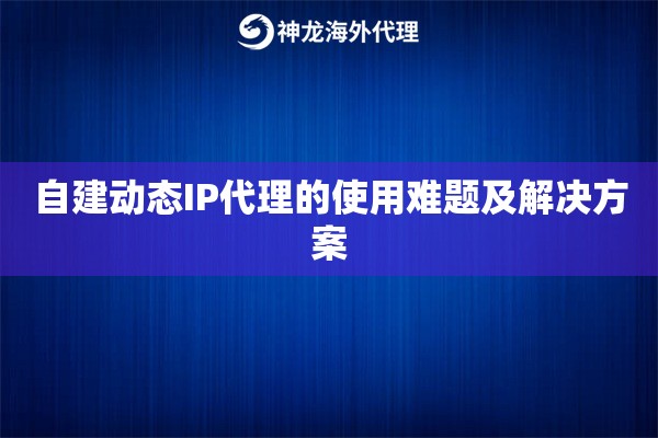 自建动态IP代理的使用难题及解决方案