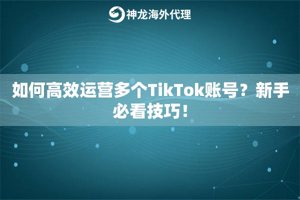 如何高效运营多个TikTok账号？新手必看技巧！