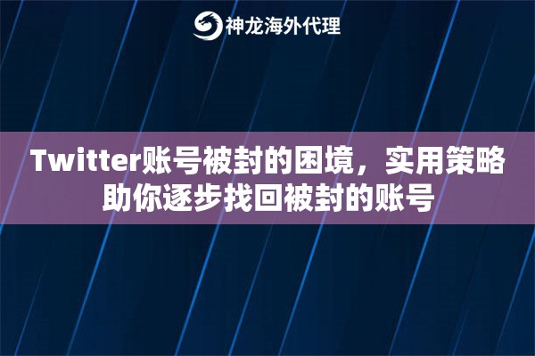 Twitter账号被封的困境，实用策略助你逐步找回被封的账号