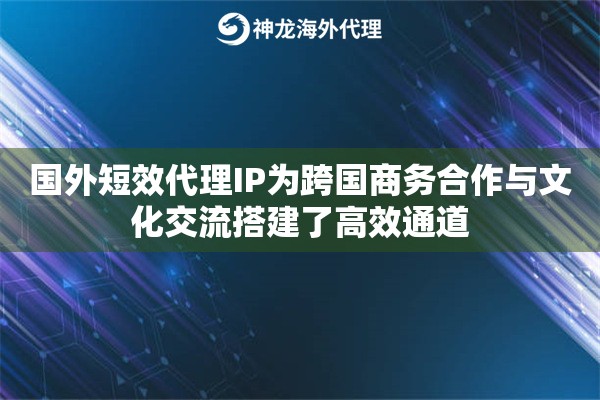 国外短效代理IP为跨国商务合作与文化交流搭建了高效通道