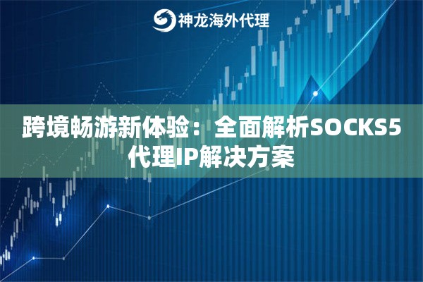 跨境畅游新体验：全面解析SOCKS5代理IP解决方案