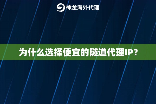 为什么选择便宜的隧道代理IP？