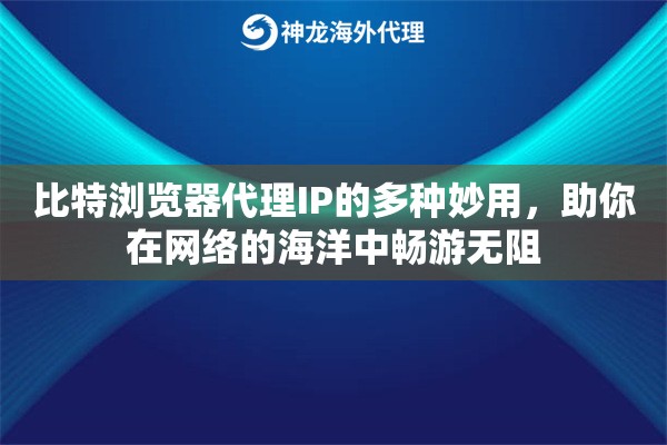 比特浏览器代理IP的多种妙用，助你在网络的海洋中畅游无阻