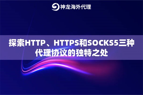 探索HTTP、HTTPS和SOCKS5三种代理协议的独特之处