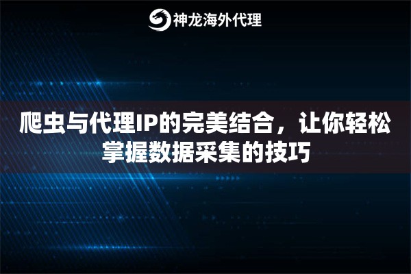 爬虫与代理IP的完美结合，让你轻松掌握数据采集的技巧