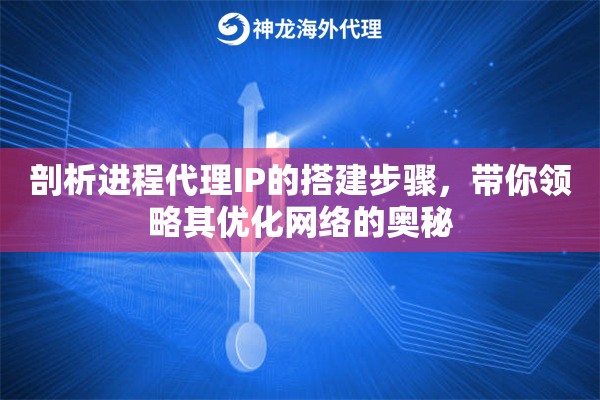 剖析进程代理IP的搭建步骤，带你领略其优化网络的奥秘