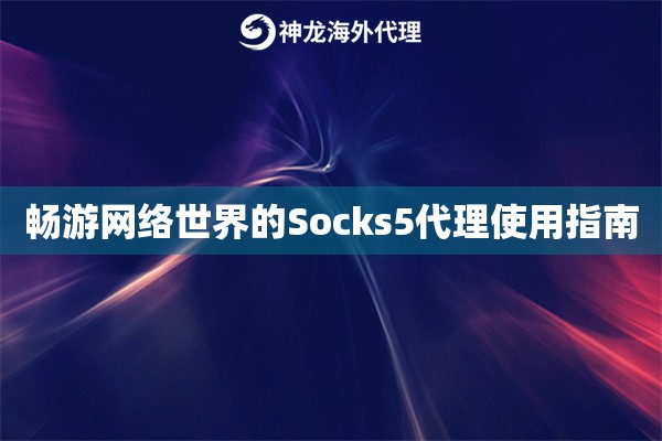 畅游网络世界的Socks5代理使用指南