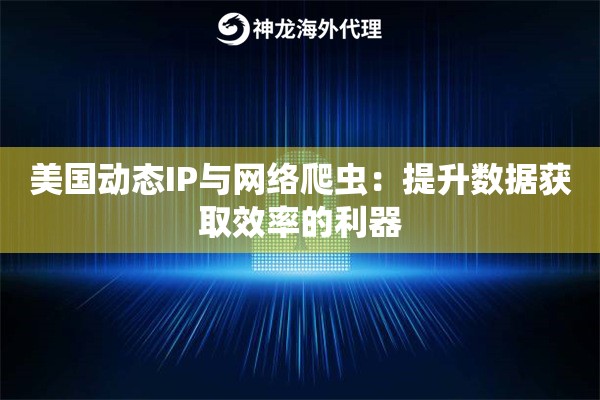 美国动态IP与网络爬虫：提升数据获取效率的利器