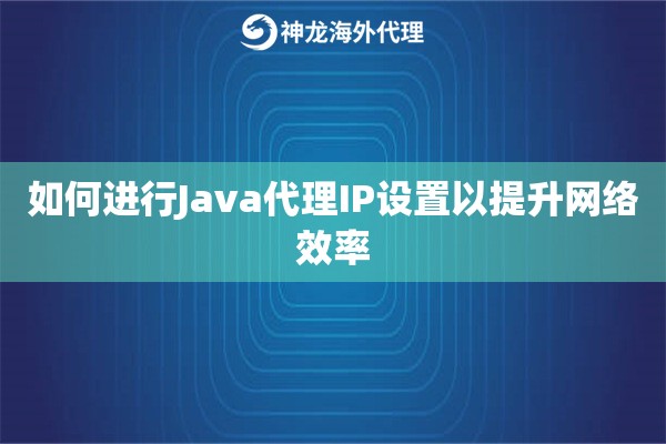 如何进行Java代理IP设置以提升网络效率