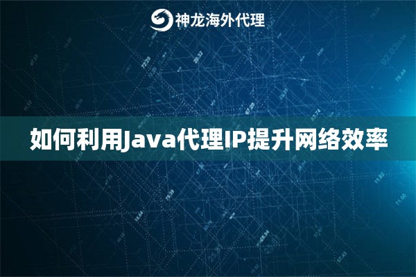 如何利用Java代理IP提升网络效率