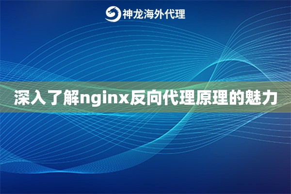 深入了解nginx反向代理原理的魅力