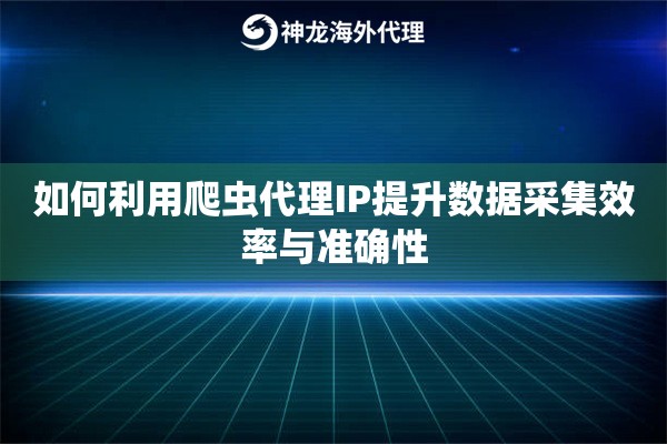 如何利用爬虫代理IP提升数据采集效率与准确性