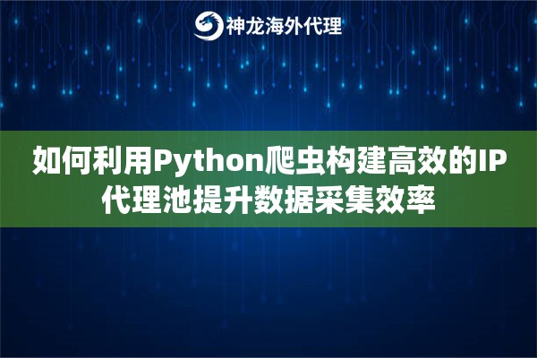 如何利用Python爬虫构建高效的IP代理池提升数据采集效率