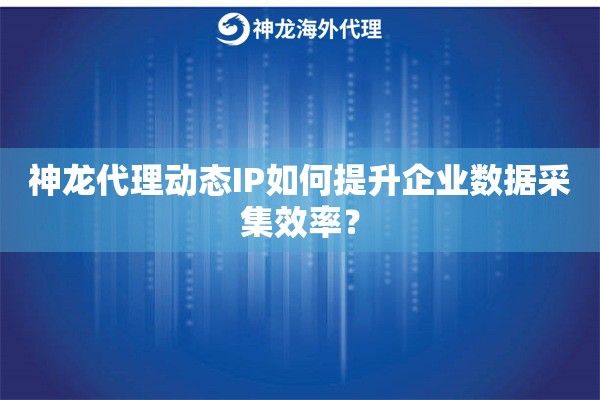 神龙代理动态IP如何提升企业数据采集效率？