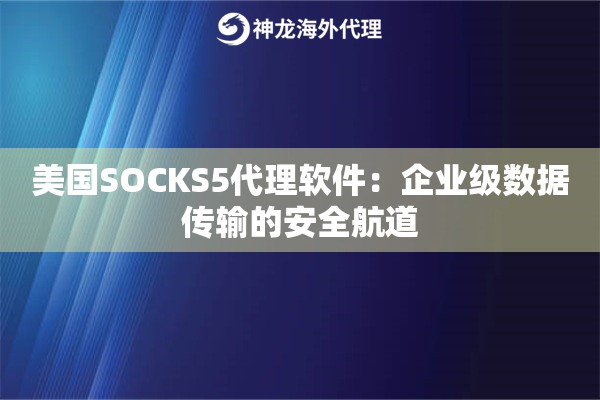 美国SOCKS5代理软件：企业级数据传输的安全航道