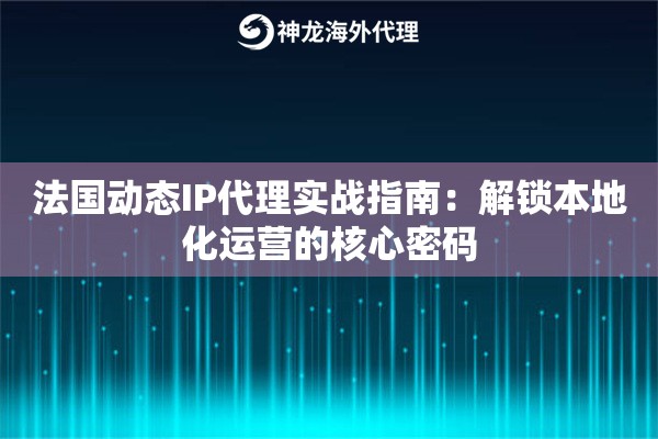 法国动态IP代理实战指南：解锁本地化运营的核心密码