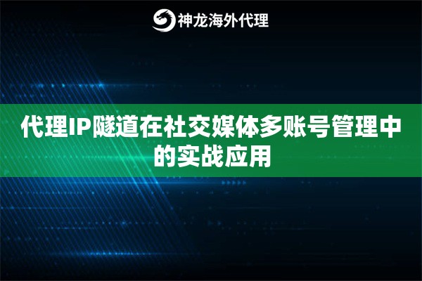 代理IP隧道在社交媒体多账号管理中的实战应用