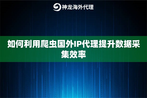 如何利用爬虫国外IP代理提升数据采集效率