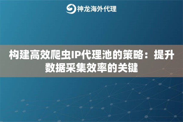 构建高效爬虫IP代理池的策略：提升数据采集效率的关键