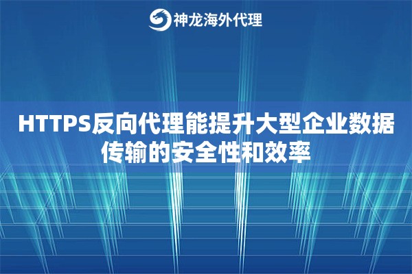 HTTPS反向代理能提升大型企业数据传输的安全性和效率