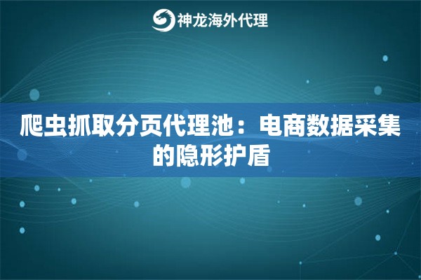 爬虫抓取分页代理池：电商数据采集的隐形护盾