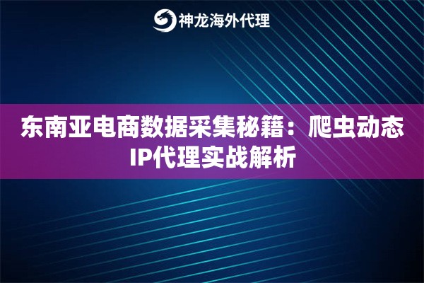 东南亚电商数据采集秘籍：爬虫动态IP代理实战解析