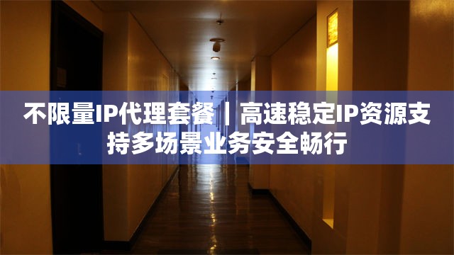 不限量IP代理套餐｜高速稳定IP资源支持多场景业务安全畅行