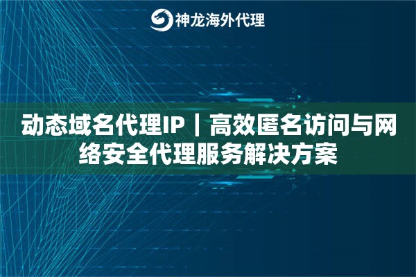 动态域名代理IP｜高效匿名访问与网络安全代理服务解决方案