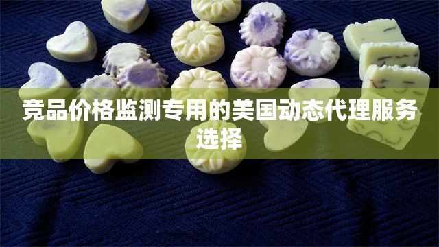 竞品价格监测专用的美国动态代理服务选择