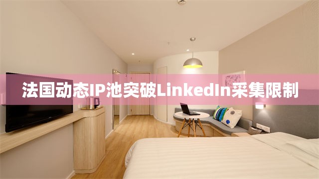 法国动态IP池突破LinkedIn采集限制