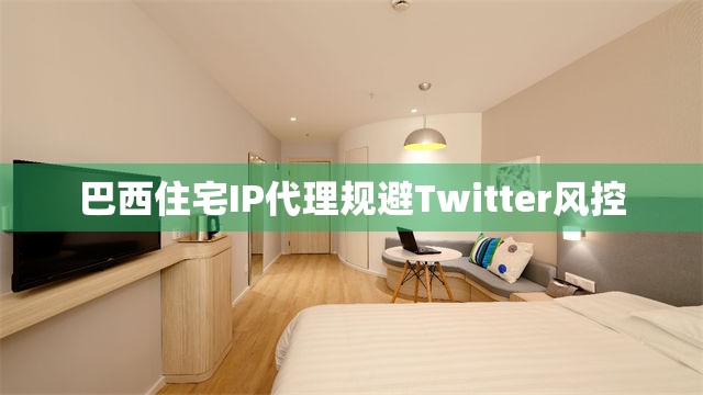 巴西住宅IP代理规避Twitter风控