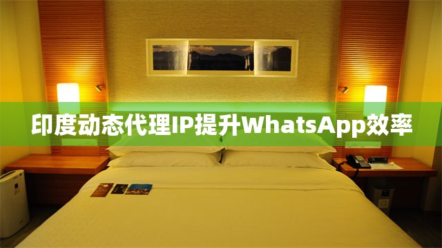 印度动态代理IP提升WhatsApp效率