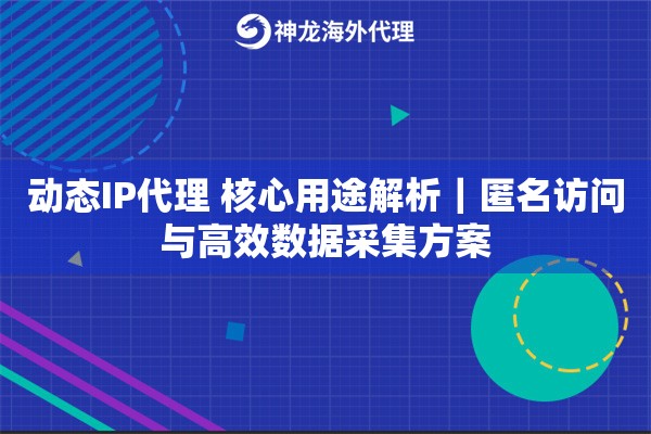 动态IP代理 核心用途解析｜匿名访问与高效数据采集方案