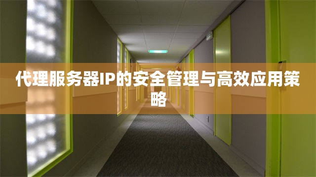 代理服务器IP的安全管理与高效应用策略