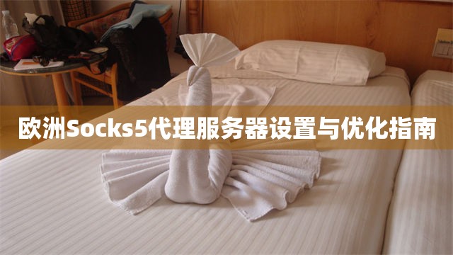 欧洲Socks5代理服务器设置与优化指南