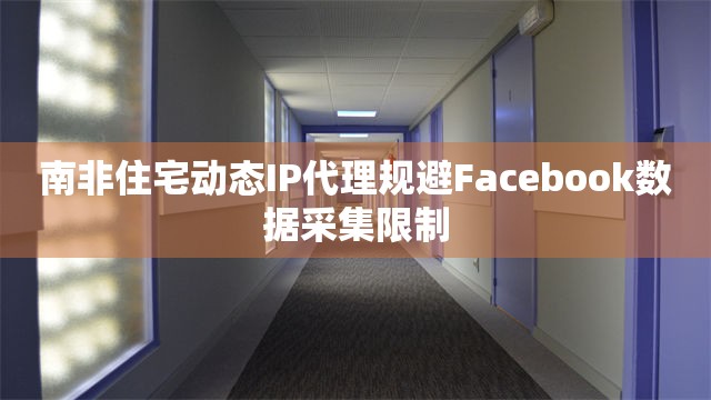 南非住宅动态IP代理规避Facebook数据采集限制