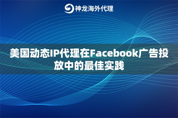 美国动态IP代理在Facebook广告投放中的最佳实践