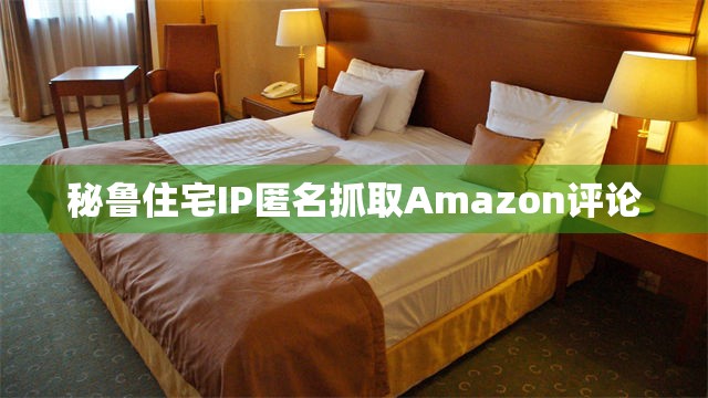 秘鲁住宅IP匿名抓取Amazon评论