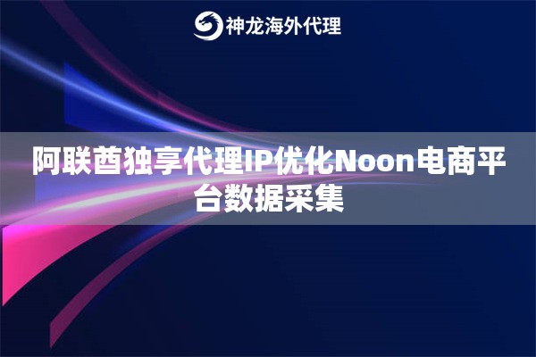 阿联酋独享代理IP优化Noon电商平台数据采集