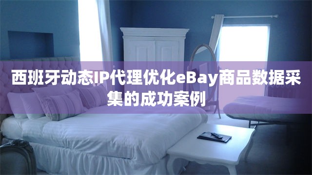 西班牙动态IP代理优化eBay商品数据采集的成功案例